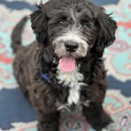 Profile Picture of Fallon Maloney (@fmaloney) on Facebook