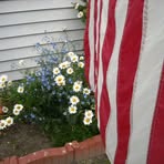 Aleta Carpenter - Facebook Profile Picture of Aleta Carpenter (@Aleta-Carpenter) on Facebook