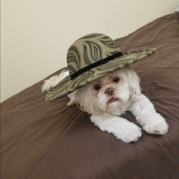 Profile Picture of Meg Ferguson (@enigmeg) on Poshmark