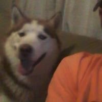 Profile Picture of Michael Plumer (@mikbritt) on Twitter