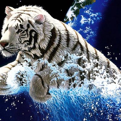 Profile Picture of Chad Tillery (@chad1977t1) on Twitter