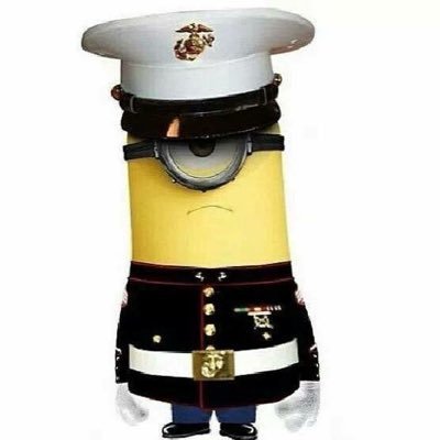 Profile Picture of Bill Finch (@Billfinch1118) on Twitter