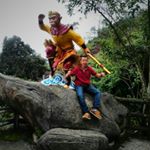 Profile Picture of Richard Chew (@richardchew13) on Instagram