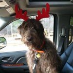 Profile Picture of Chase Frost (@chase.frost) on Instagram