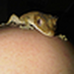 Profile Picture of Wayneoco (@wayneoco) on Flickr