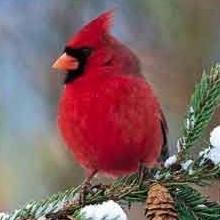 Profile Picture of Jan Ridout (@jan.ridout.73) on Facebook