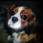 Profile Picture of Michael-john cunliffe (@michaeljohncunliff) on Instagram