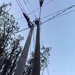 Profile Picture of Cody Holsinger (@cody.holsinger.2025) on Facebook