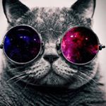 Profile Picture of Luis Frausto (@luis.frausto.5011516) on Instagram