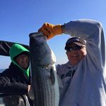 Profile Picture of Peter Shields (@shields_peter) on Instagram