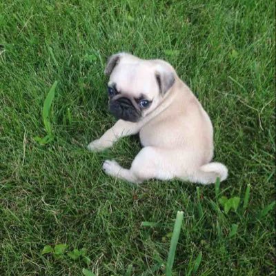 Bryan Rudnicki - Twitter Profile Picture of Bryan Rudnicki (@revs2300) on Twitter