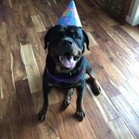 Profile Picture of Staci Coleman (@staci-coleman-1) on Quora