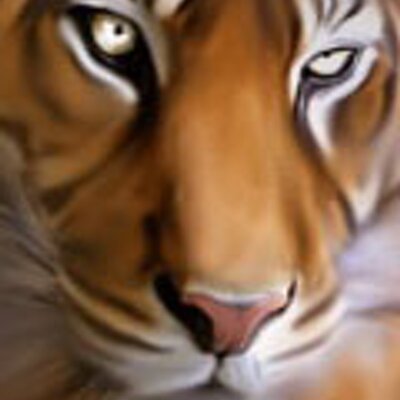 Profile Picture of Rabin Paul (@RabinPaul5) on Twitter