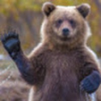 Profile Picture of Sam Barbieri (@sam-barbieri-2) on Quora