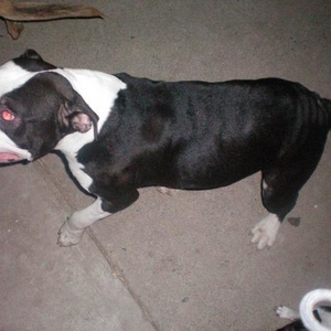 Profile Picture of Derek Fillmore (@vwtapass) on Myspace