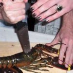 Profile Picture of Aaron (@californiasunshine415) on Instagram