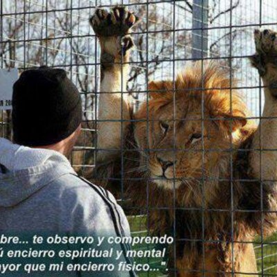 Profile Picture of Esau Mendozza (@JasonSm58583021) on Twitter