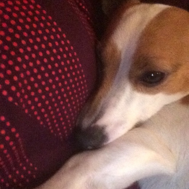 Profile Picture of aine moriarty (@user801226620) on Tiktok