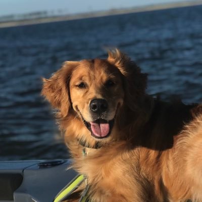Profile Picture of Jim Yawn (@BigTymeJoey) on Twitter