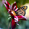 Profile Picture of pasen haber todo de moda :) (@pasen haber todo de moda :)) on Flickr