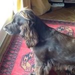 Profile Picture of Elke Möhricke Magai (@mohrickemagai) on Instagram