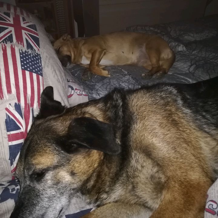 Profile Picture of lucialombardozzi (@lucialombardozzi) on Tiktok