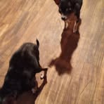 Profile Picture of Keith Daniels (@Keith-Daniels) on Facebook