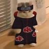 Profile Picture of Drew Cross (@@drewcross17) on Tiktok