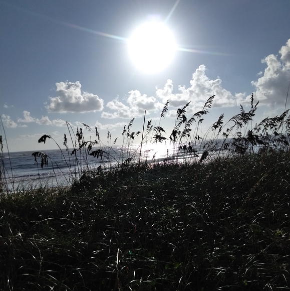 Profile Picture of Cathy Varian (@cathyvarian) on Poshmark