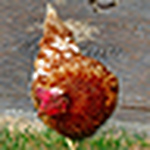 Profile Picture of Stephen Jackson (@fotolisto) on Flickr