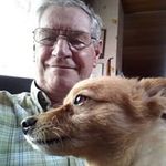 Profile Picture of Raymond Vandamme (@vandammeraymond) on Instagram