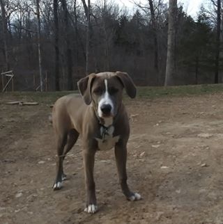 Profile Picture of Carley Boyd (@carley.reynolds.733) on Facebook