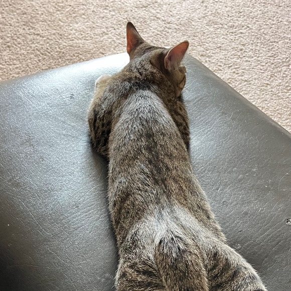 Profile Picture of Jeff Hadenburger (@jeffhadenburger) on Poshmark