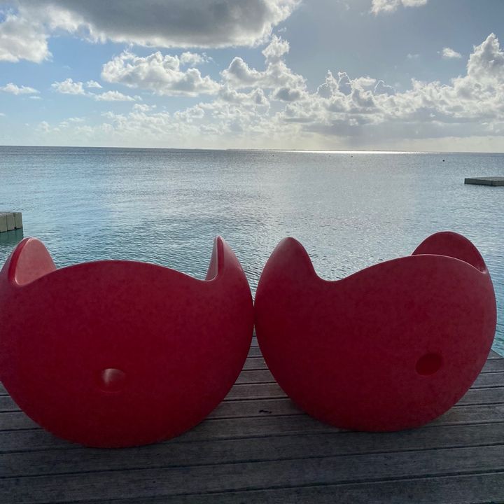 Profile Picture of kevintahiti 716 (@kevintwinss) on Tiktok