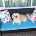 Profile Picture of Nancy Heffner (@ralph.heffner.3) on Facebook