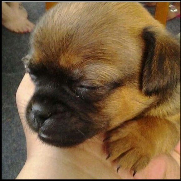 Profile Picture of Kallissa Rovinsky (@kallissa0987) on Poshmark