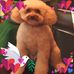 Profile Picture of Philippe Noblet (@philippe.noblet.585) on Facebook