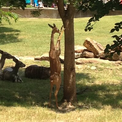 Profile Picture of Michael Hogue (@MichaelRHogue) on Twitter