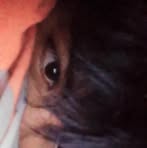 Profile Picture of Dook Hoe Shin (@dook.hoe.shin) on Facebook