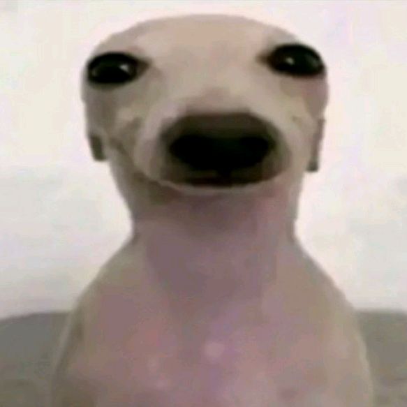 Profile Picture of 𝑊ℎ𝑦? (@jerry_ackerman0) on Tiktok