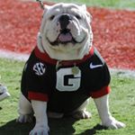 Profile Picture of Tony Griffis (@griffis_tony) on Instagram