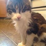 Profile Picture of Blake Angus (@angus9081) on Instagram