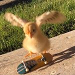 Profile Picture of Bradley Carroll (@its_brad_btw) on Instagram