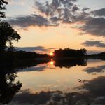 Profile Picture of Jeremy Wallenkamp (@jeremywallenkamp) on Instagram