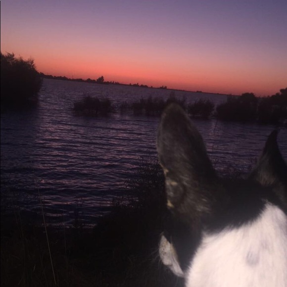 Profile Picture of Nana Balderama (@dopeassnana) on Poshmark