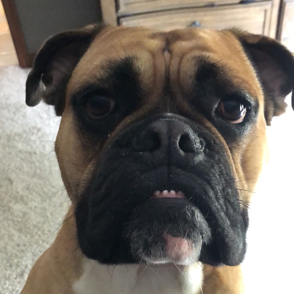 Profile Picture of Kayla Kunkel (@kaylakunkel_) on Poshmark