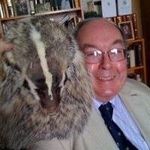 Profile Picture of Donald Rutherford (@bubblesthebadger) on Instagram