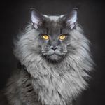 Profile Picture of Roberto Repetto (@roberto.repetto69) on Instagram