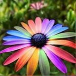 Profile Picture of David (@woeberd) on Instagram