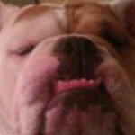 Profile Picture of Neil Daniels (@neil841) on Instagram